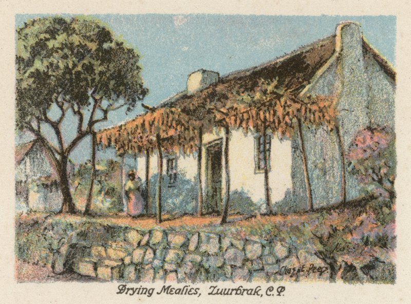 Sydafrika: Torkning av mjöl, Zuurbrak, CP (färglitografi) av Charles Ernest Peers