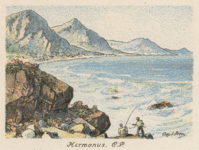Sydafrika: Hermanus, CP (färglitografi) av Charles Ernest Peers