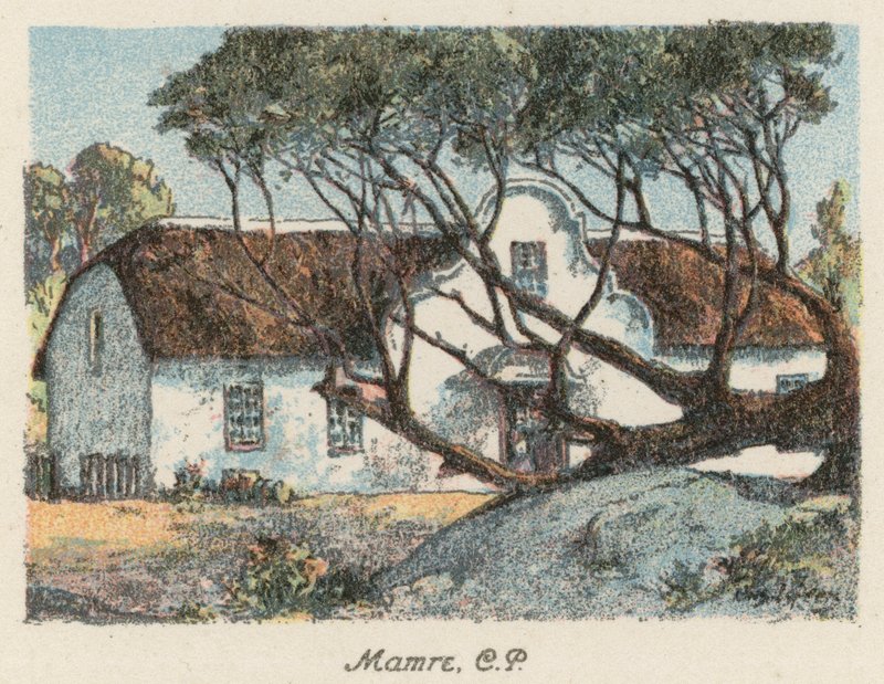Sydafrika: Mamre, CP (färglitografi) av Charles Ernest Peers
