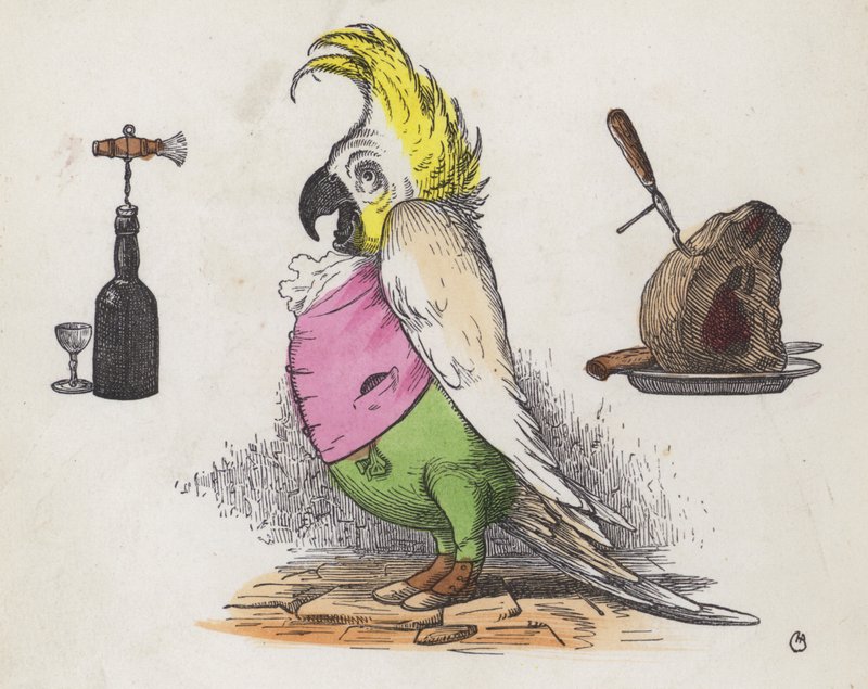 Girig kakadua (färgad gravyr) av Charles Henry (after) Bennett