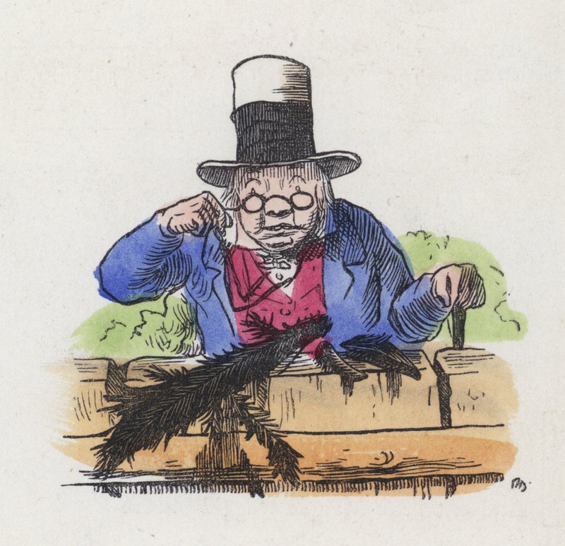 Rester av två skator på ett trädgårdsstaket (färgad gravyr) av Charles Henry (after) Bennett