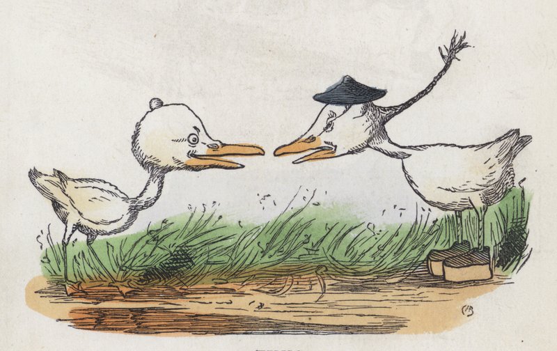 Två fåglar vända mot varandra (färgad gravyr) av Charles Henry (after) Bennett