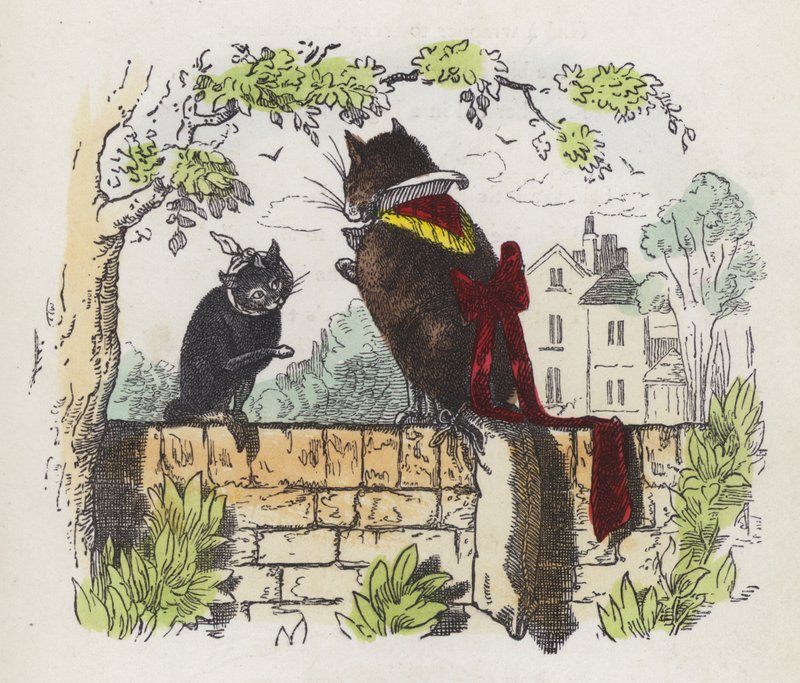 Två katter på en trädgårdsvägg (färgad gravyr) av Charles Henry (after) Bennett