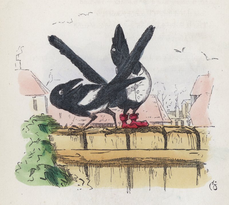 Två skator på ett trädgårdsstaket (färgad gravyr) av Charles Henry (after) Bennett