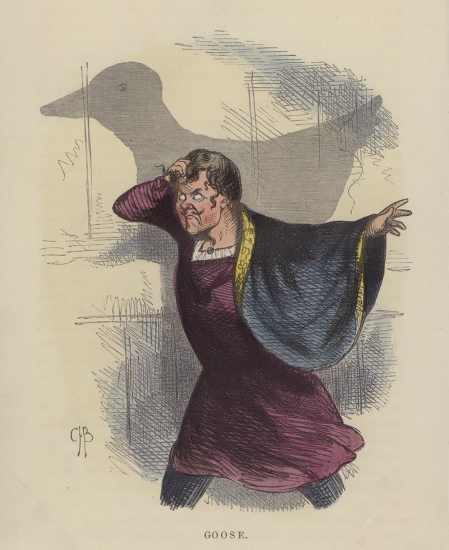 Gås (färgad gravyr) av Charles Henry Bennett