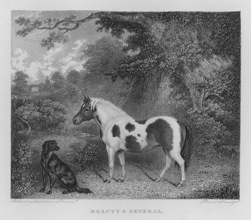 Skönhet och Allmänt (gravyr) av Charles Henry Schwanfelder