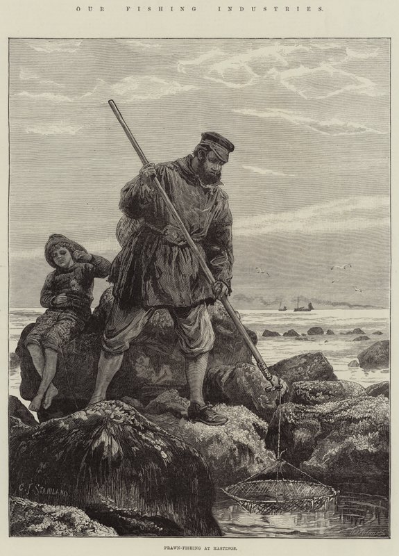 Vår fiskeindustri, räkfiske i Hastings av Charles J. Staniland
