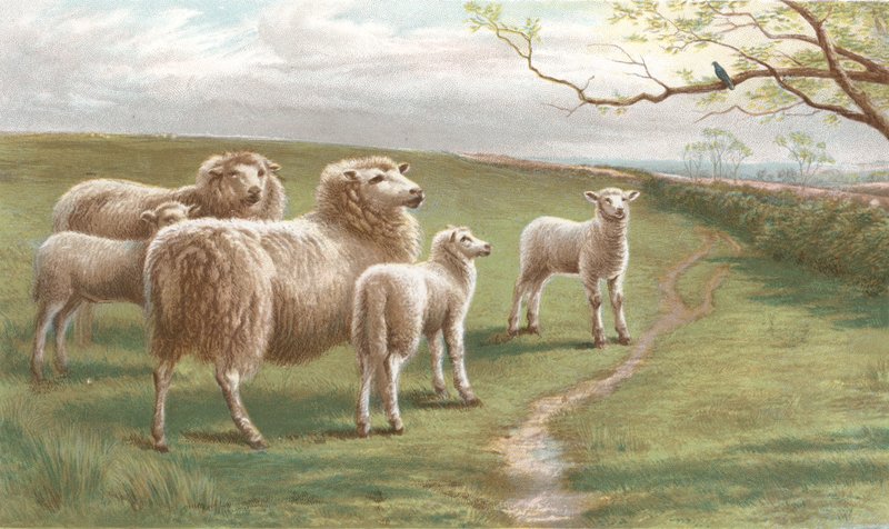 En sång om våren (chromolitho) av Charles Jones