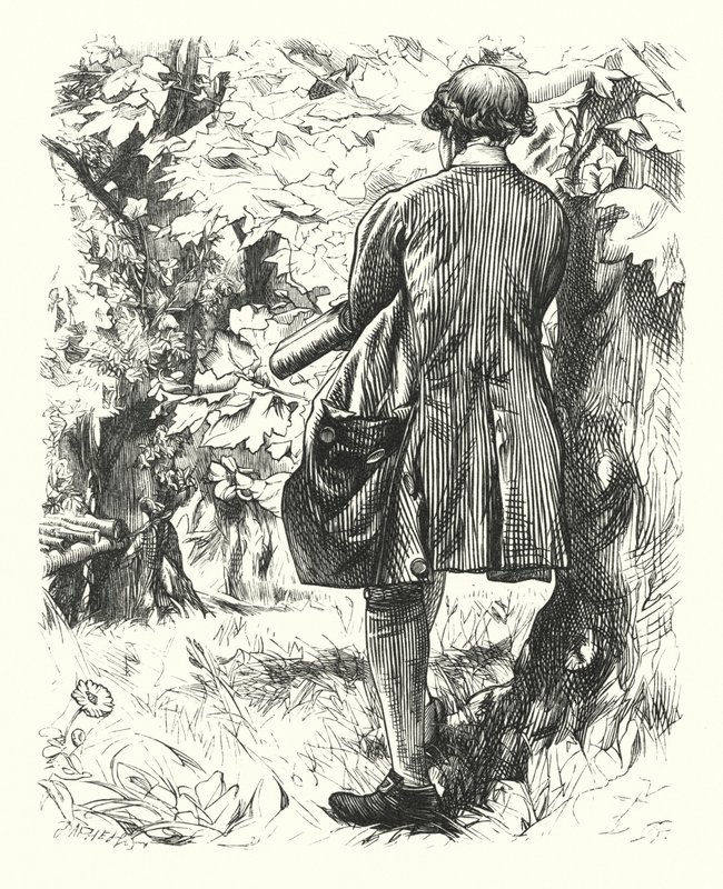 Förnöjsamhet (gravyr) av Charles Keene