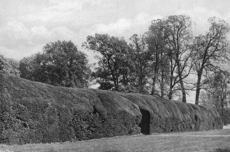 Jätte Yew Hedge av Charles Latham