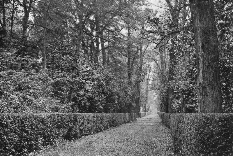 Hundpromenaden av Charles Latham