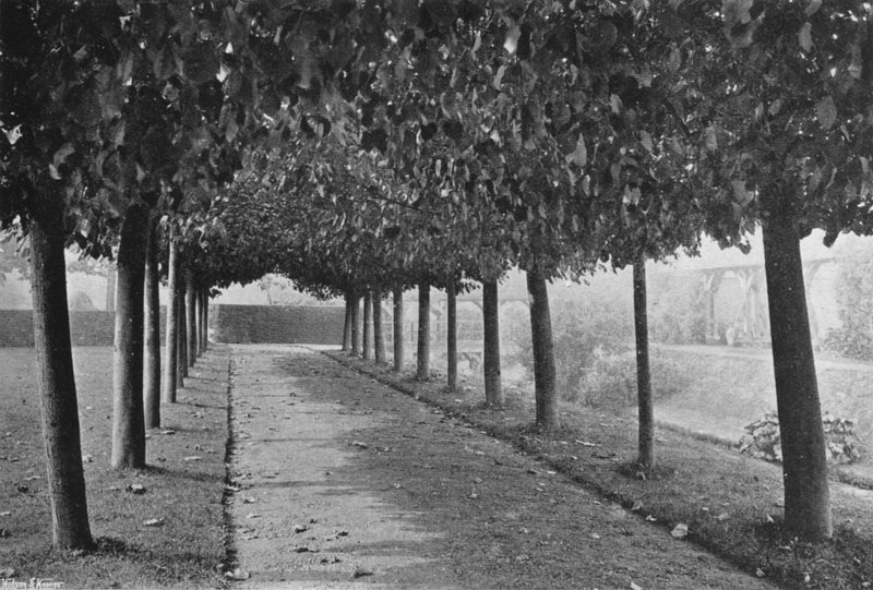 The Pleached Walk (s/v foto) av Charles Latham