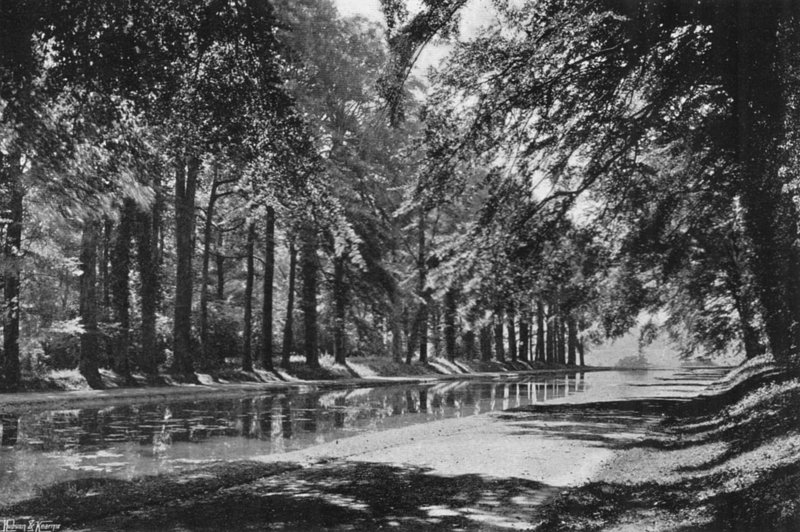 The T Pond (s/v foto) av Charles Latham