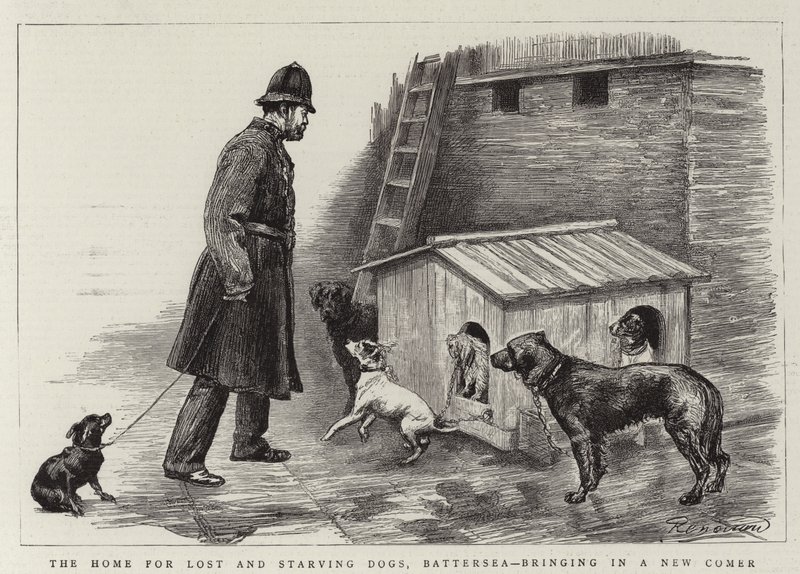 Hemmet för vilsna och svältande hundar, Battersea, tar in en nykomling av Charles Paul Renouard
