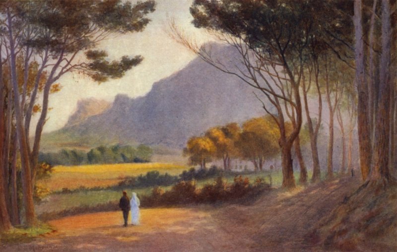 Cape Peninsula, Sydafrika: Alphen (färg litho) av Charles Stephen Meacham