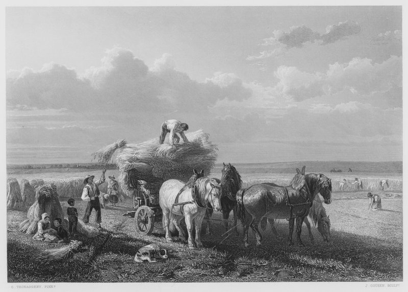 Skördefältet, från bilden i Kungliga Samlingen (gravyr) av Charles Tschaggeny