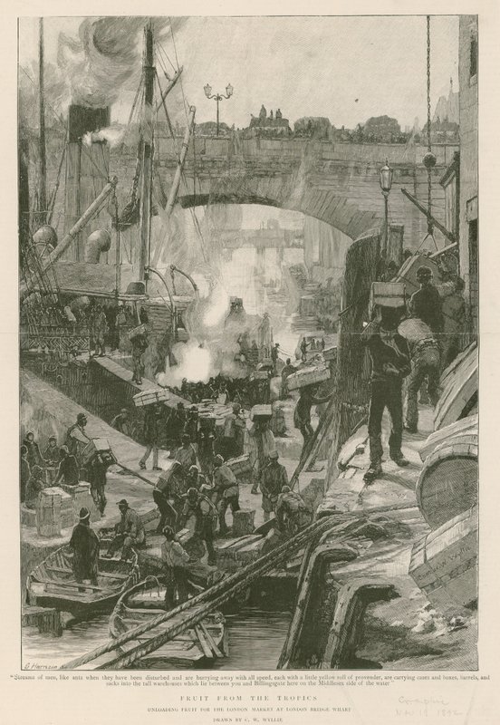 Frukt från tropikerna (gravyr) av Charles William Wyllie
