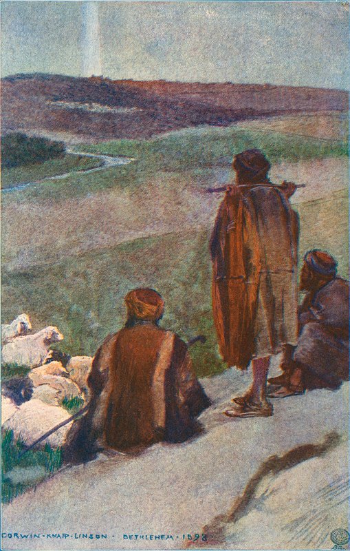 Herdar på fältet av Corwin Knapp Linson