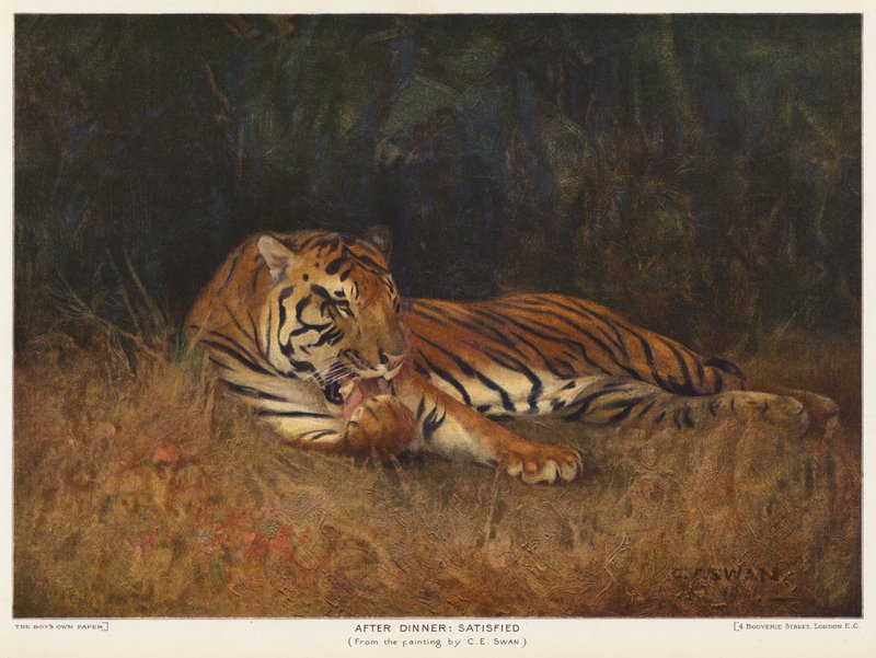 Efter middagen, nöjd (färg litho) av Cuthbert Edmund Swan