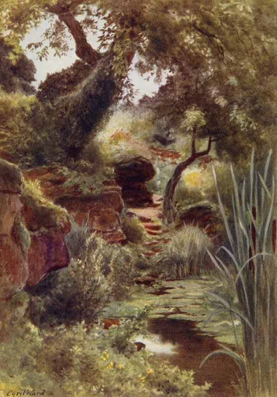 En del av Rock Garden vid Upper Lake, Sandringham (färg litho) av Cyril Ward