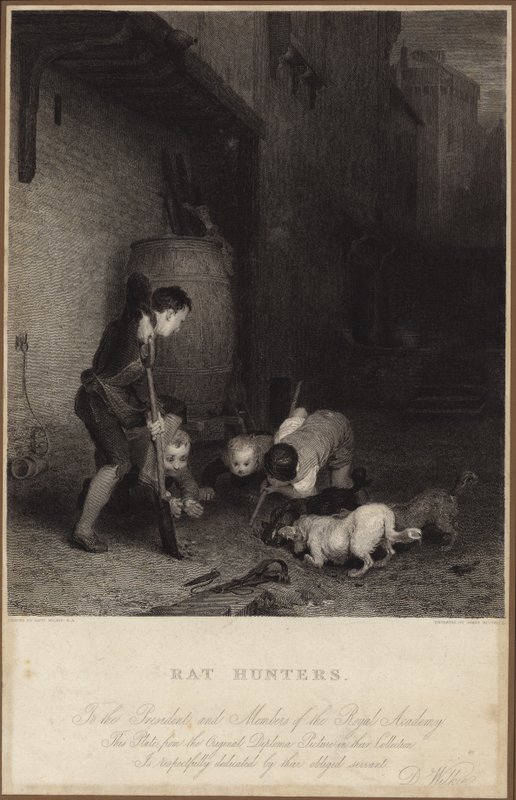 Råttjägare av David Wilkie