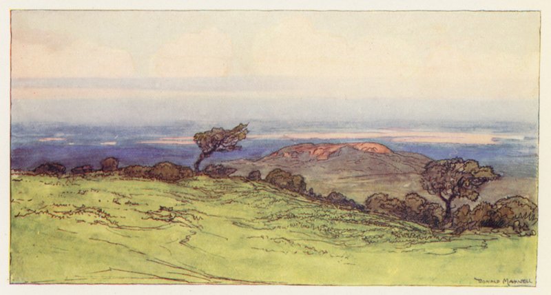 Poole Harbour från Isle of Purbeck (färglitografi) av Donald (after) Maxwell