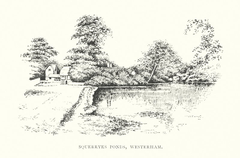 Squerryes Ponds, Westerham (litografi) av Duncan Moul