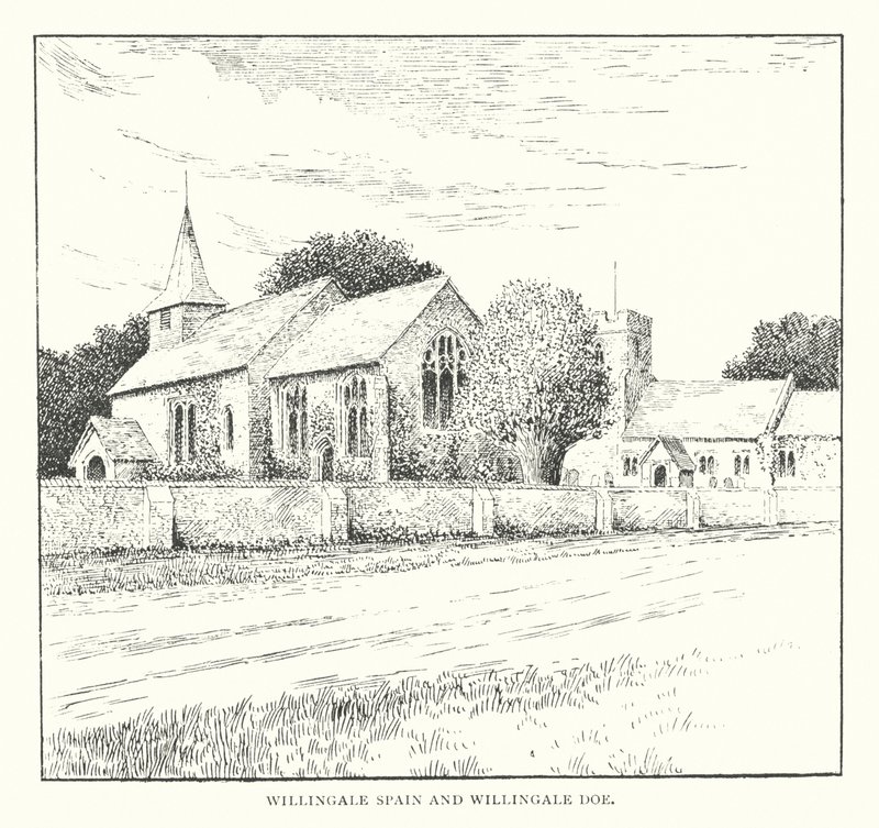 Willingale Spain och Willingale Doe (litografi) av Duncan Moul