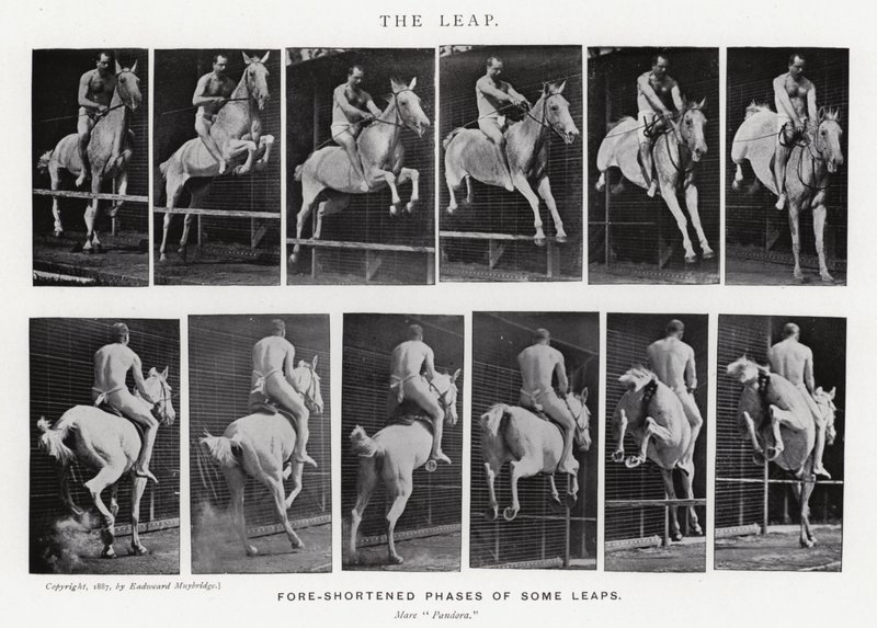 Eadweard Muybridge: The Leap (s/v foto) av Eadweard Muybridge