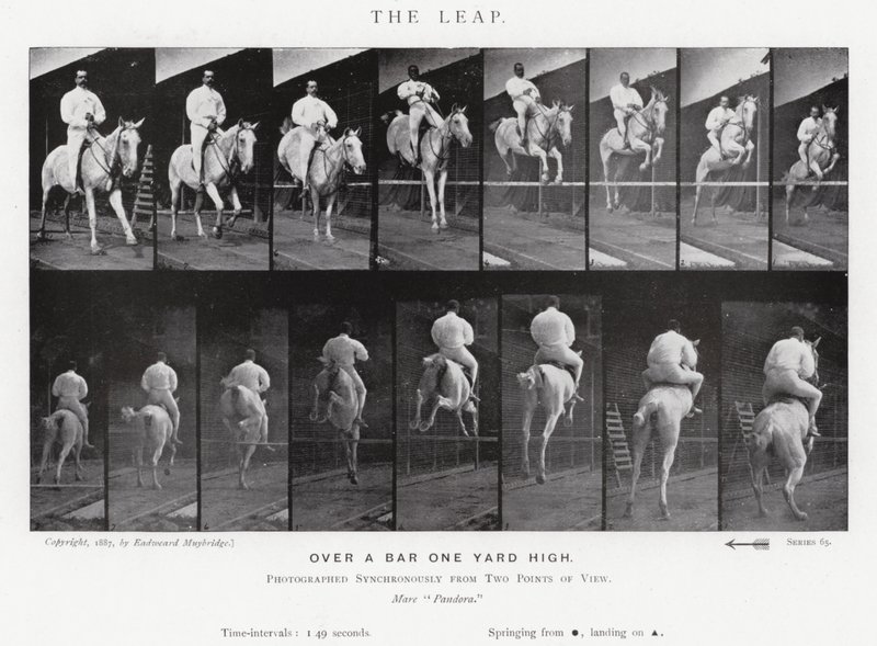 Eadweard Muybridge: The Leap (s/v foto) av Eadweard Muybridge
