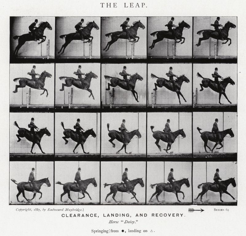 Eadweard Muybridge: The Leap (s/v foto) av Eadweard Muybridge
