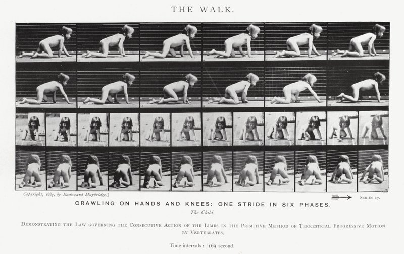 Eadweard Muybridge: The Walk (s/v foto) av Eadweard Muybridge
