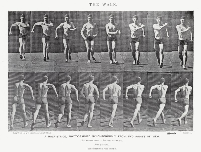 Eadweard Muybridge: The Walk (s/v foto) av Eadweard Muybridge