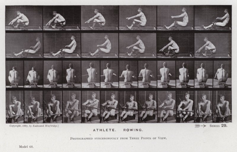 Den mänskliga figuren i rörelse: idrottare, rodd (s/v foto) av Eadweard Muybridge