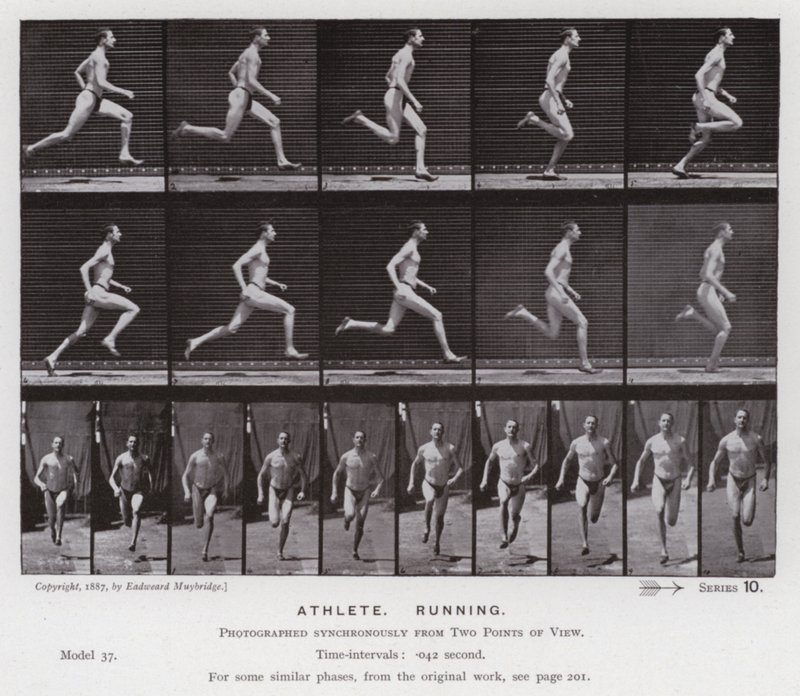 Den mänskliga figuren i rörelse: idrottare, löpning (s/v foto) av Eadweard Muybridge
