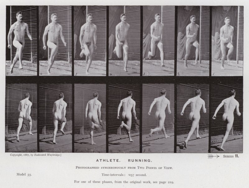 Den mänskliga figuren i rörelse: idrottare, löpning (s/v foto) av Eadweard Muybridge