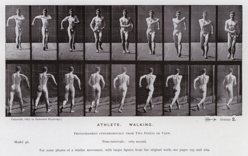 Den mänskliga figuren i rörelse: idrottare, gående (s/v foto) av Eadweard Muybridge