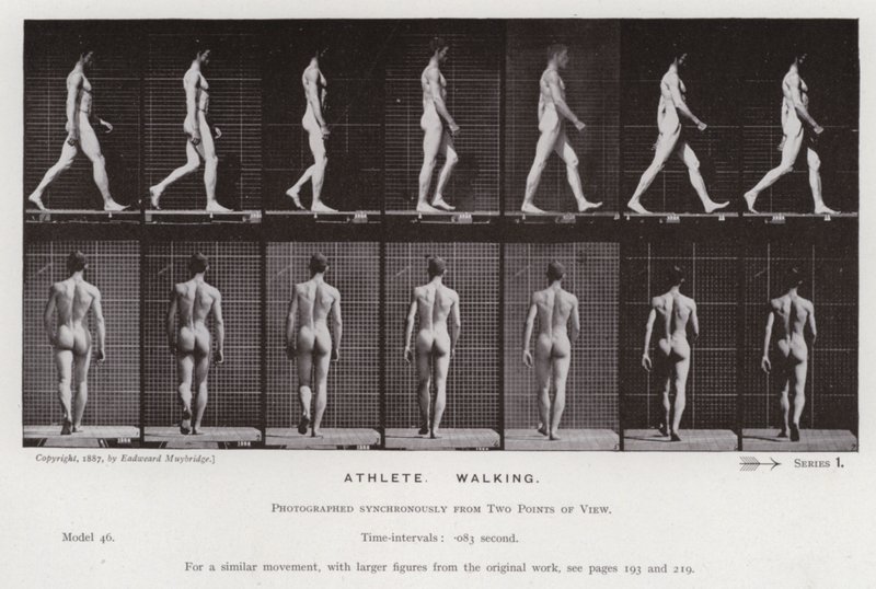 Den mänskliga figuren i rörelse: idrottare, gående (s/v foto) av Eadweard Muybridge