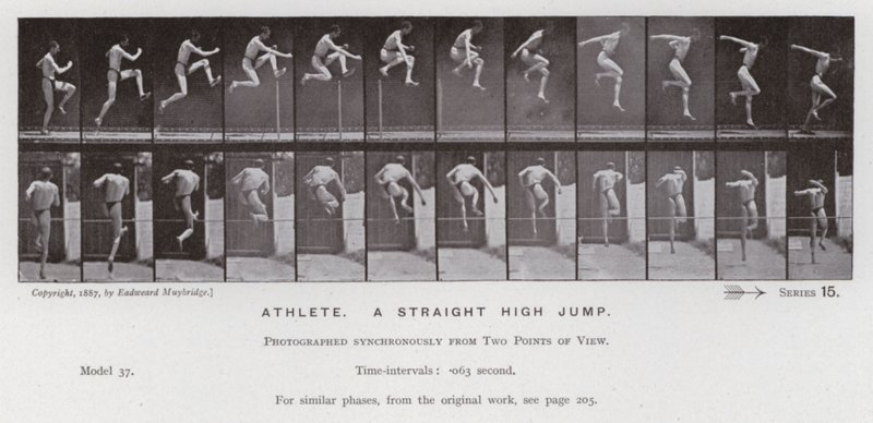 The Human Figure in Motion: Atlet, ett rakt höjdhopp (s/v foto) av Eadweard Muybridge