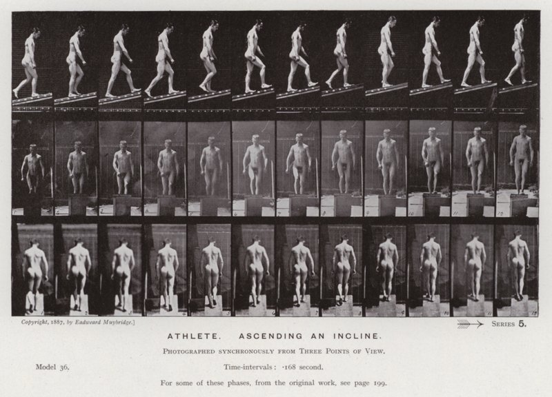 Den mänskliga figuren i rörelse: Idrottsman som stiger uppför en lutning (s/v foto) av Eadweard Muybridge