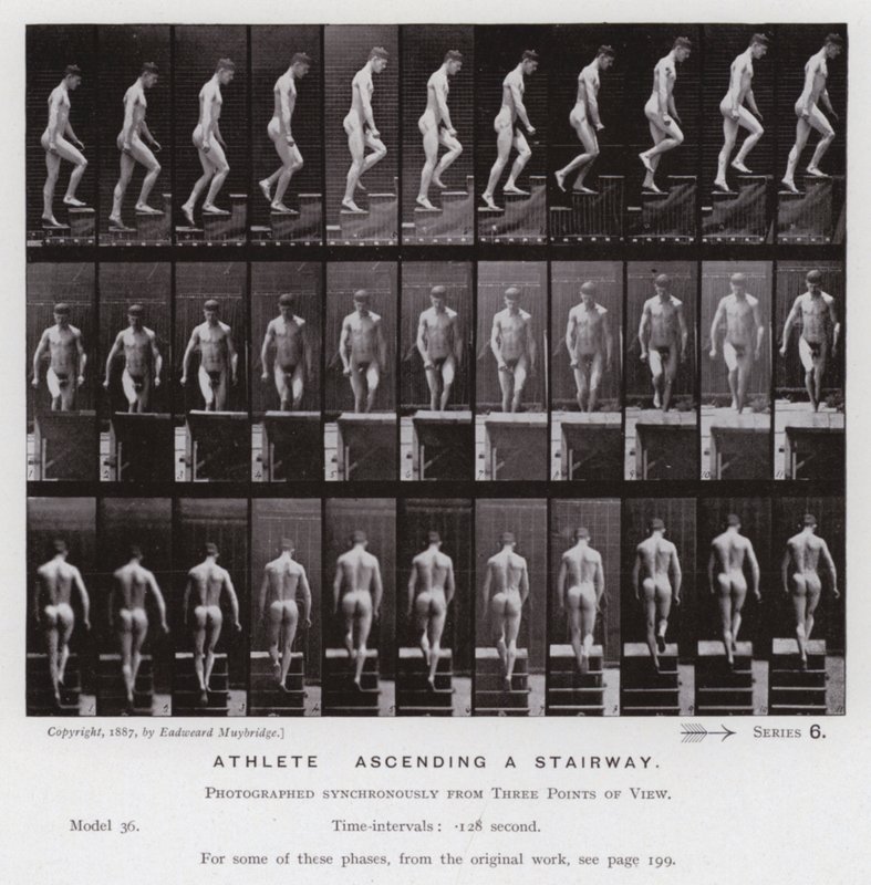 Den mänskliga figuren i rörelse: idrottare som går uppför en trappa (s/v foto) av Eadweard Muybridge