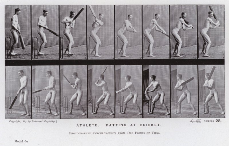 The Human Figure in Motion: Idrottare som slår i cricket (s/v foto) av Eadweard Muybridge