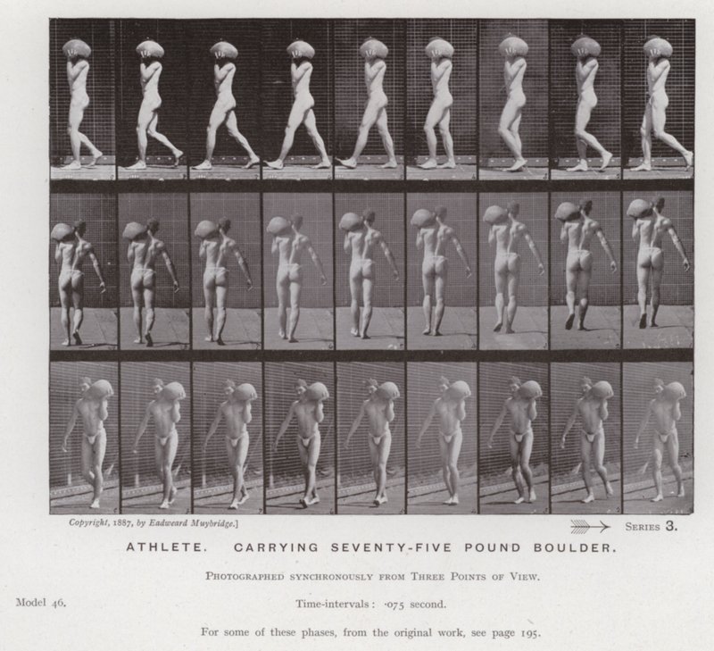 Den mänskliga figuren i rörelse: Idrottsman, bärande 75 pund stenblock (s/v foto) av Eadweard Muybridge