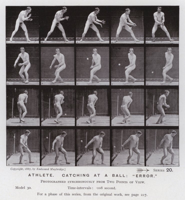 Den mänskliga figuren i rörelse: Idrottsman som fångar en boll, "fel" (s/v-foto) av Eadweard Muybridge