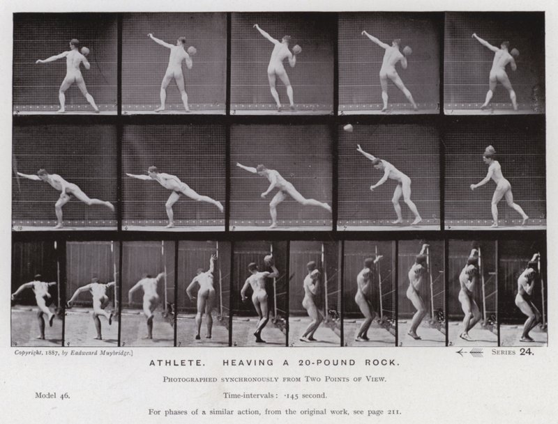Den mänskliga figuren i rörelse: Idrottare som lyfter en sten på 20 pund (s/v foto) av Eadweard Muybridge