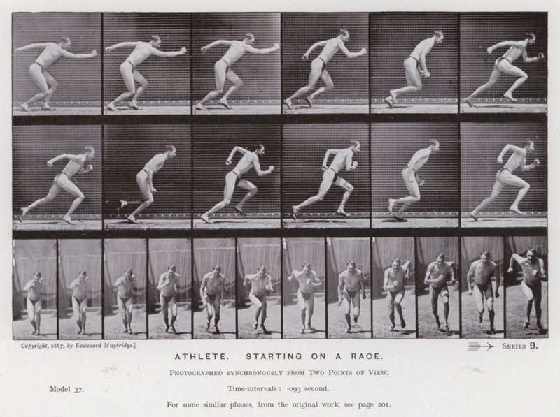The Human Figure in Motion: Idrottsman, startande på ett lopp (s/v foto) av Eadweard Muybridge
