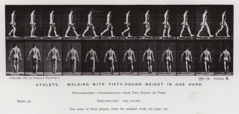 Den mänskliga figuren i rörelse: Idrottare som går med femtio pund i en hand (s/v foto) av Eadweard Muybridge
