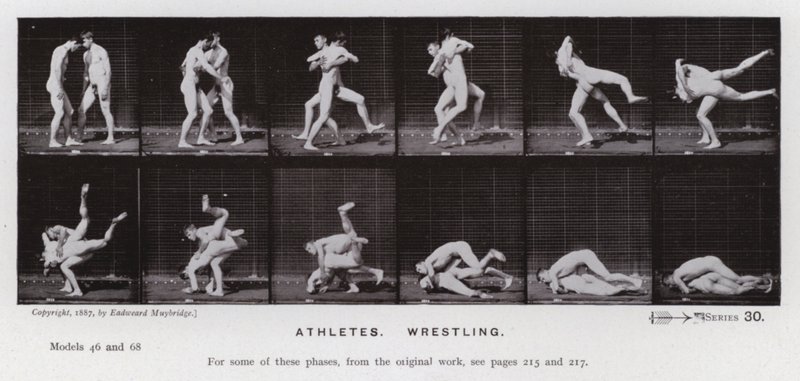 Den mänskliga figuren i rörelse: idrottare, brottning (s/v foto) av Eadweard Muybridge