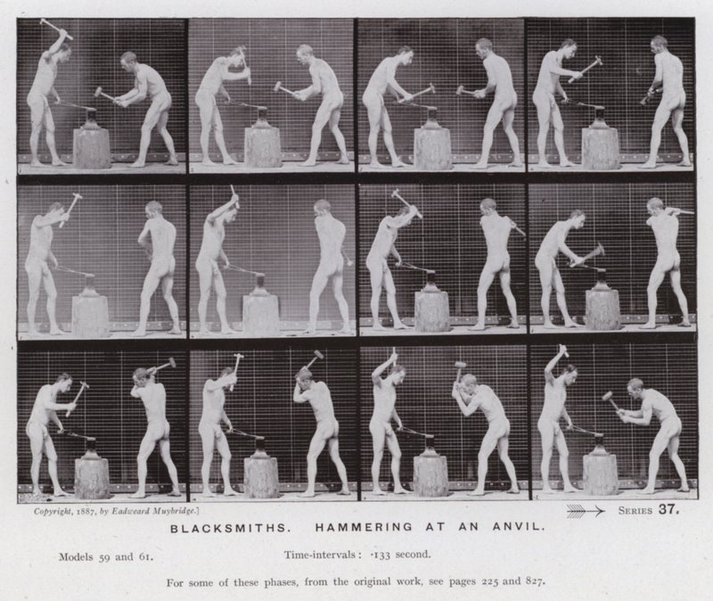 The Human Figure in Motion: Smeder som hamrar på ett städ (s/v foto) av Eadweard Muybridge