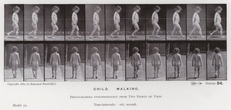 Den mänskliga figuren i rörelse: barn, gående (s/v foto) av Eadweard Muybridge